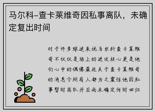 马尔科-查卡莱维奇因私事离队，未确定复出时间