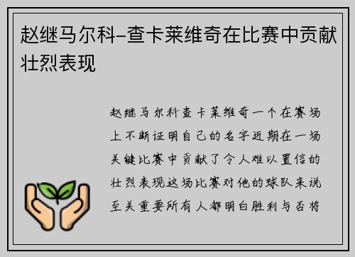 赵继马尔科-查卡莱维奇在比赛中贡献壮烈表现