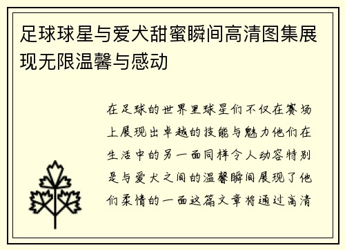足球球星与爱犬甜蜜瞬间高清图集展现无限温馨与感动