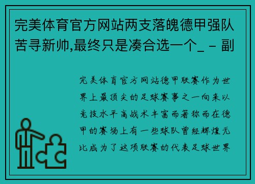 完美体育官方网站两支落魄德甲强队苦寻新帅,最终只是凑合选一个_ - 副本