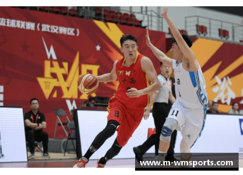 NBL总决赛弃赛事件引发的深思：陕西信达的罚款启示 - 副本