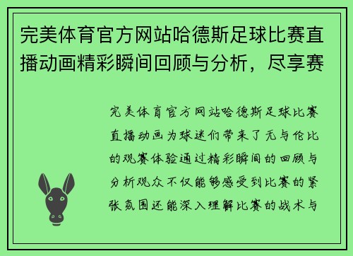 完美体育官方网站哈德斯足球比赛直播动画精彩瞬间回顾与分析，尽享赛事激情与乐趣