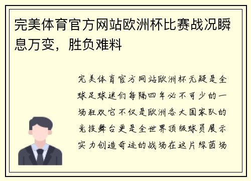 完美体育官方网站欧洲杯比赛战况瞬息万变，胜负难料